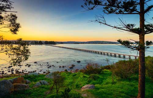 Best Wildlife Activities in Victor Harbor