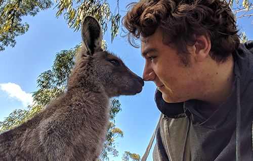 How to take a Kangaroo Selfie